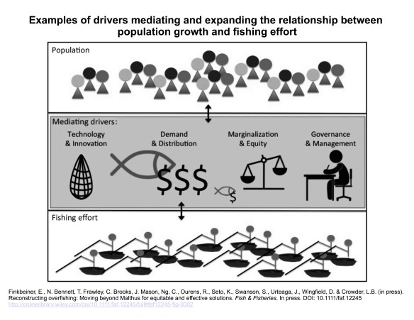 Examples of drivers mediating the relationship between population growth and fishing effort