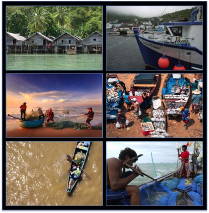 Figure 1 - The coastal margin