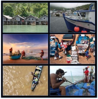 Figure 1 - The coastal margin