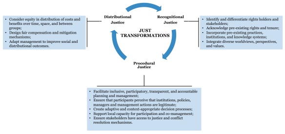 Figure 2 - Just transformation management