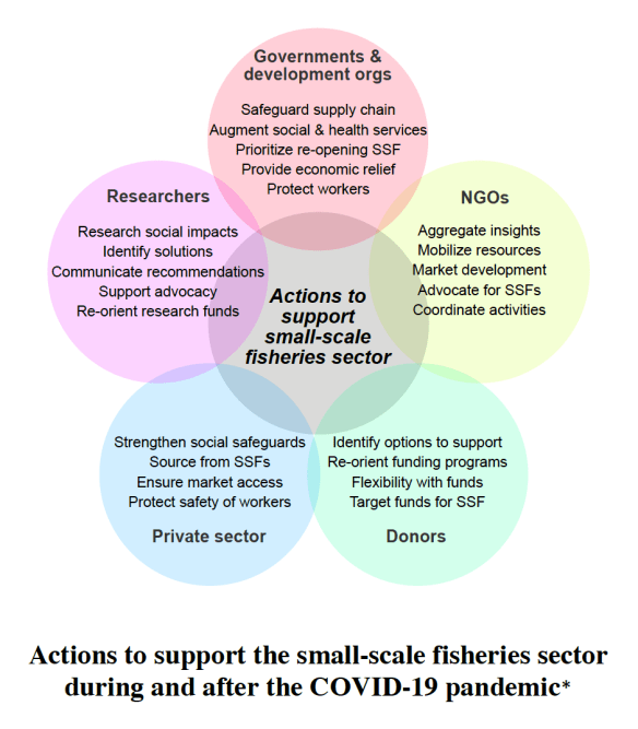 Actions to support small-scale fisheries during and after COVID-19